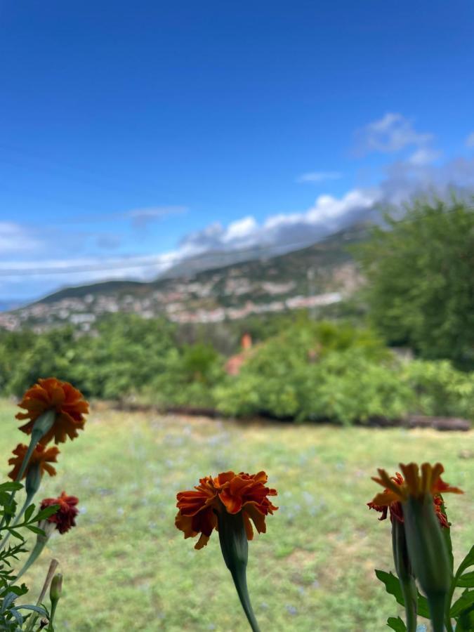 Appartamento Bartula Hut In Nature Esterno foto